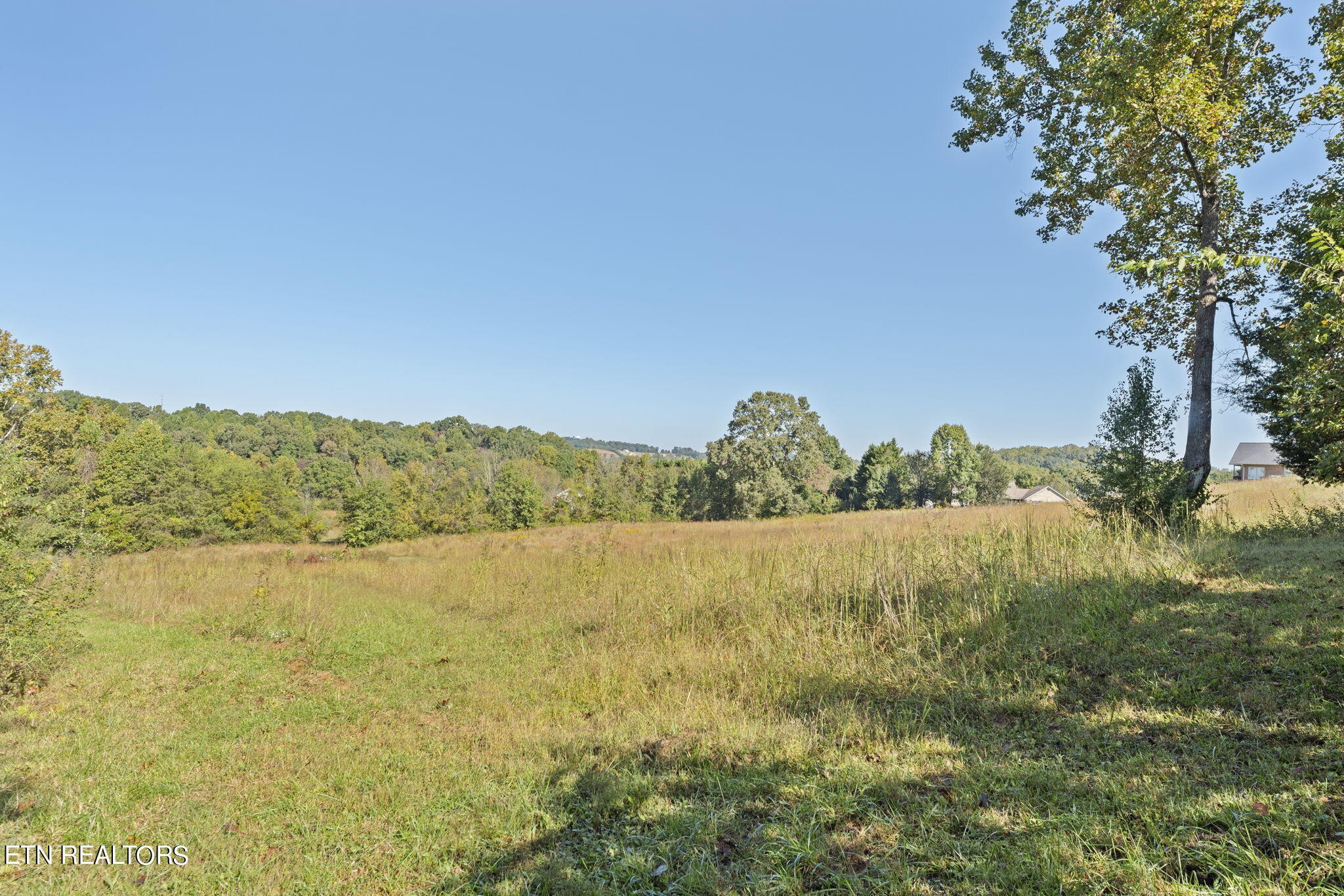 3806 Freels Road Friendsville, TN 37737 - Photo 50 of 57 Gallery Image 50
