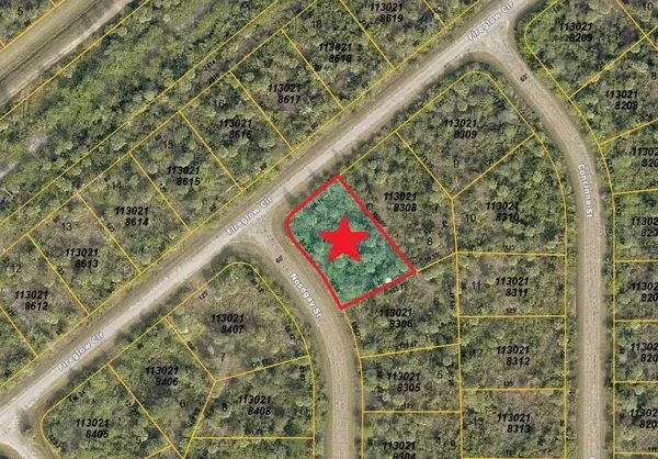 a view of a yard with a tree