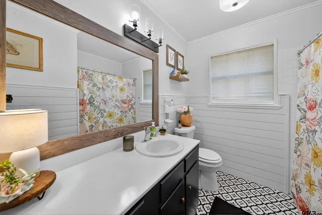 a bathroom with a sink a toilet and shower curtain