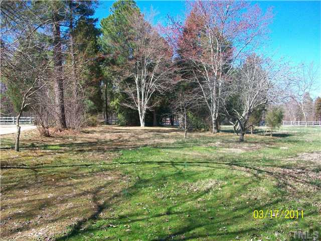 13202 North Roxboro Street Rougemont, NC 27572 - Photo 6 of 6 Land/Lot