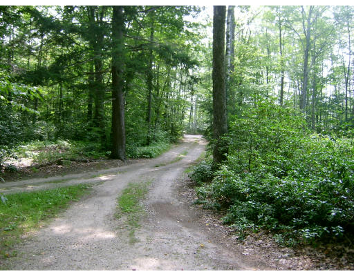 81 Old Ashby Road Ashburnham, MA 01430 - Photo 5 of 7 Gallery Image 5