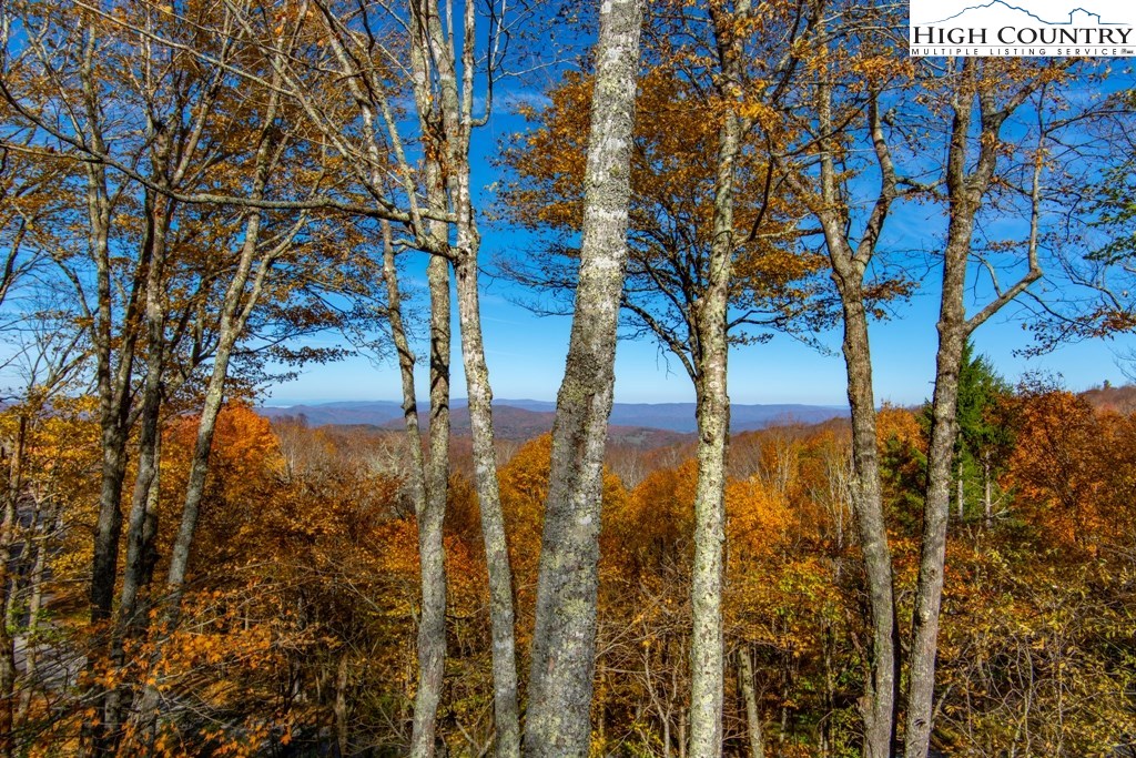 102 Hummingbird Road Beech Mountain, NC 28604 - Photo 20 of 23 Gallery Image 20