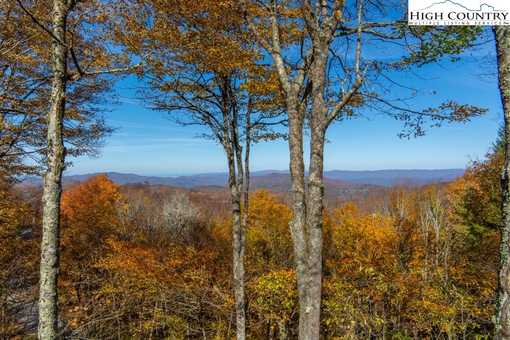 102 Hummingbird Road Beech Mountain, NC 28604 - Photo 21 of 23 Gallery Image 21