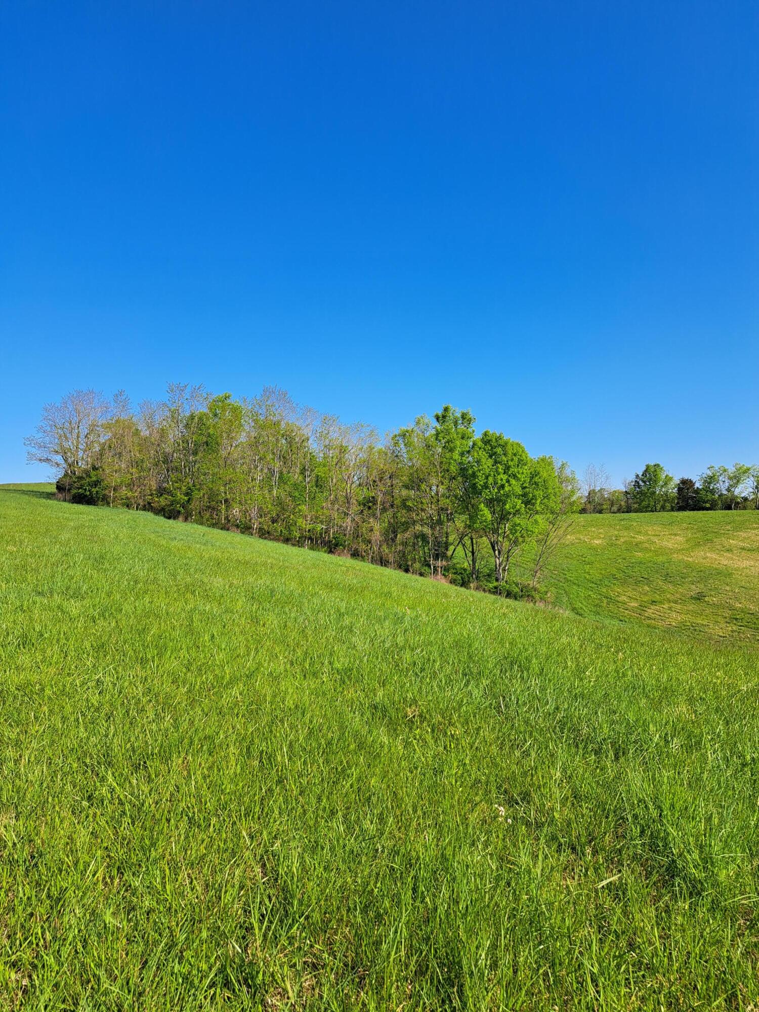 0 East 330 Corinth Road Corinth, KY 41010 - Photo 6 of 26 Gallery Image 6