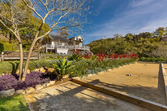 a view of a yard with plants and large trees