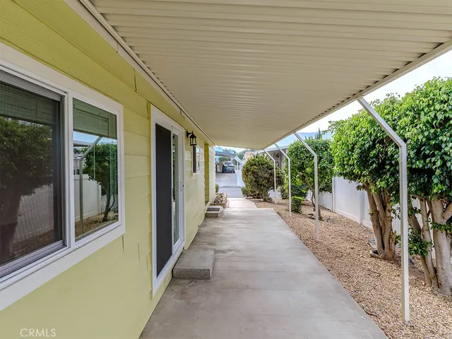 a view of a patio with a large tree