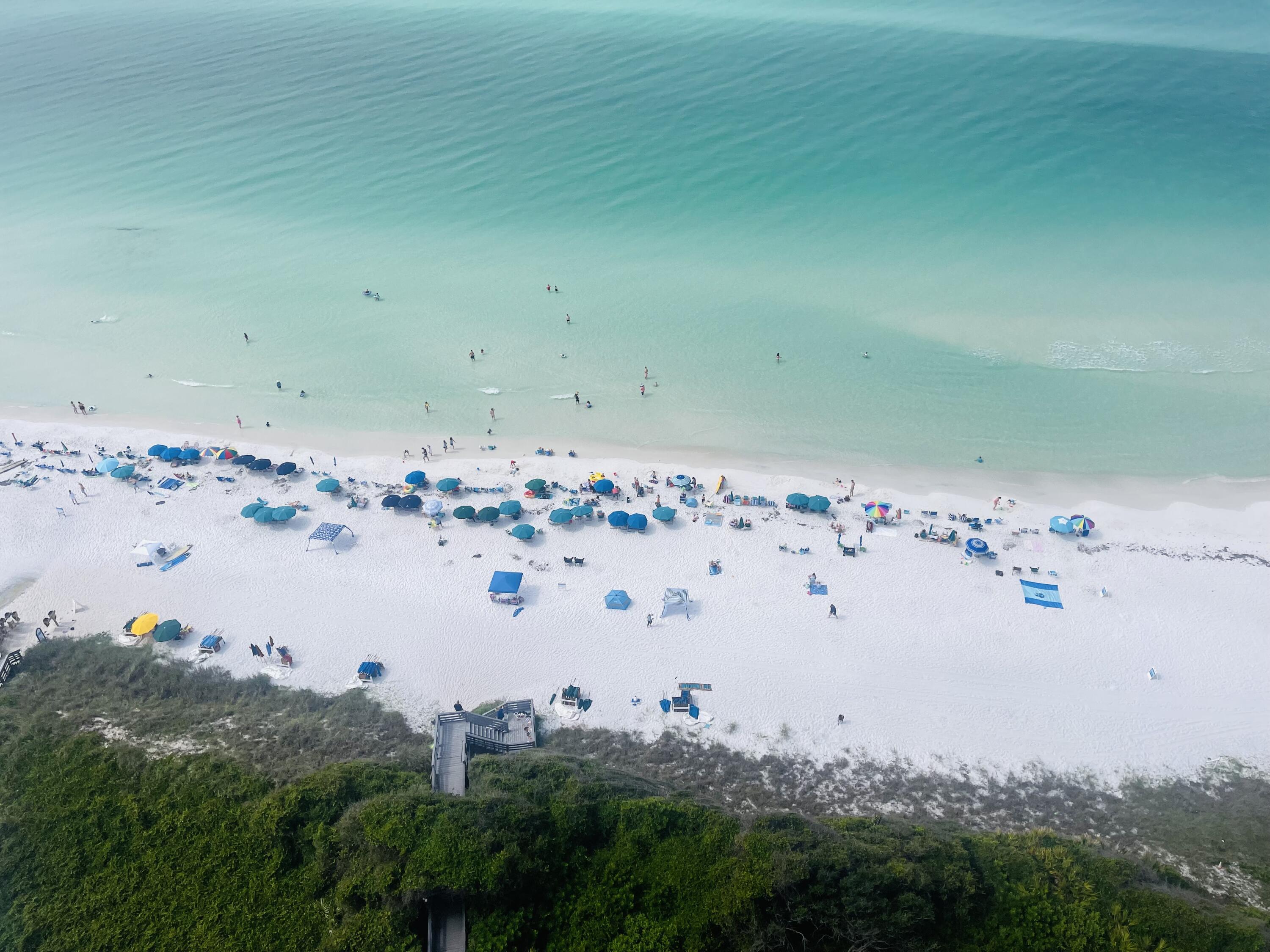 365 Cassine Garden Circle Santa Rosa Beach, FL 32459 - Photo 62 of 63 IMG_7723