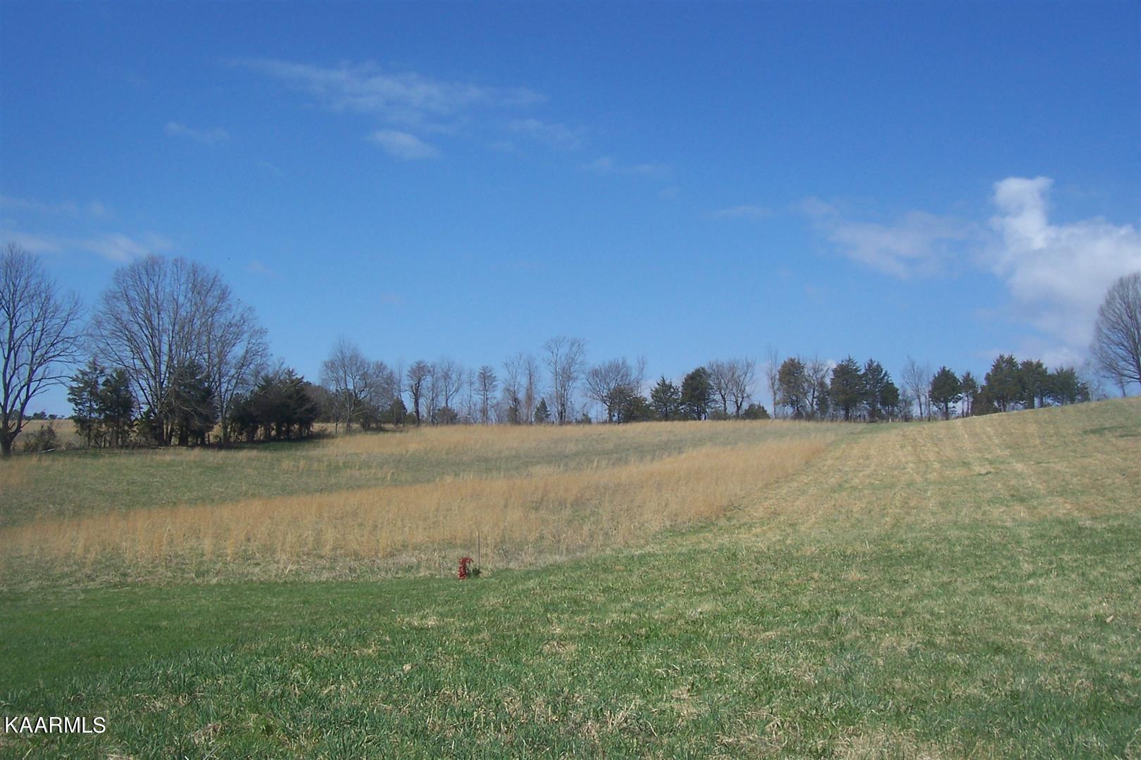 Lot 8 Valley Home Road Dandridge, TN 37725 - Photo 2 of 8 Valley Home Rd Lot 8 (1)