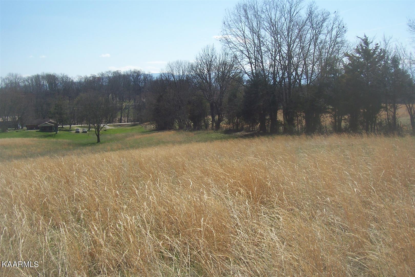 Lot 8 Valley Home Road Dandridge, TN 37725 - Photo 3 of 8 Valley Home Rd Lot 8 (6)