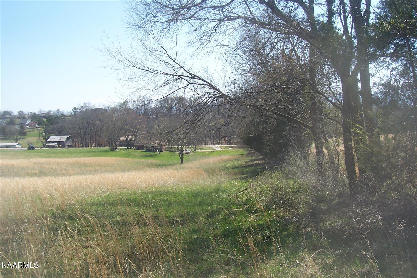 Lot 8 Valley Home Road Dandridge, TN 37725 - Photo 4 of 8 Valley Home Rd Lot 8 (9)