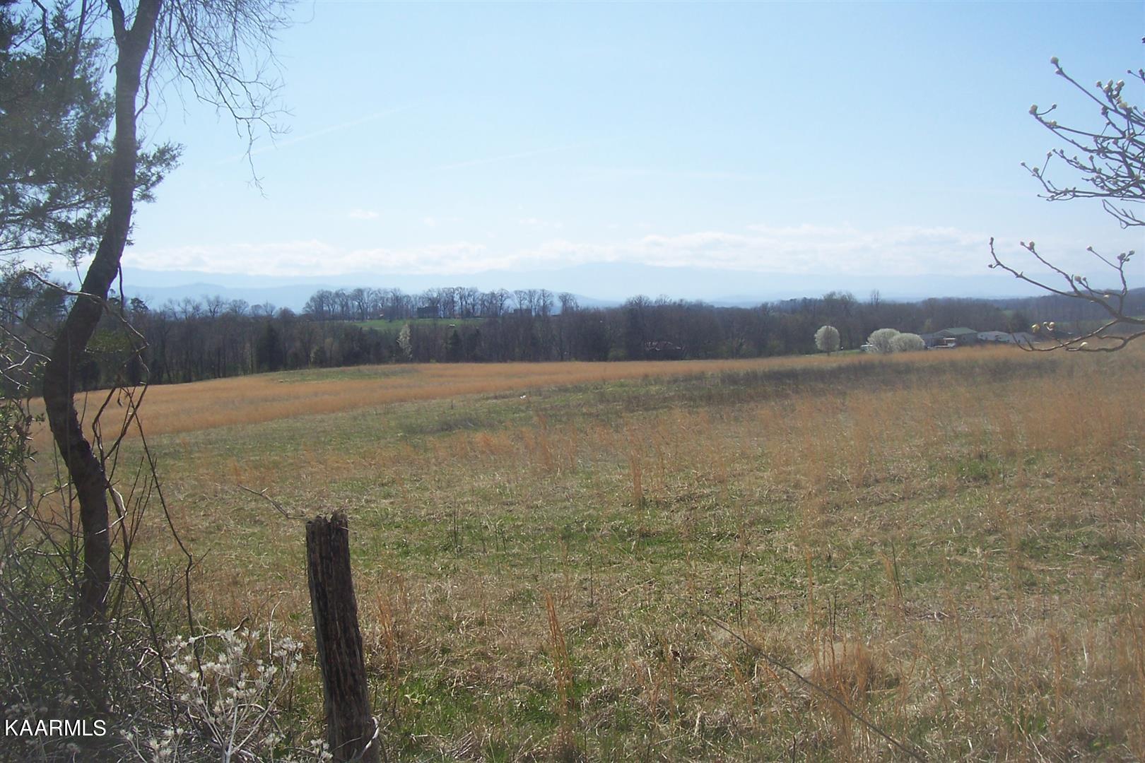 Lot 8 Valley Home Road Dandridge, TN 37725 - Photo 5 of 8 Valley Home Rd Lot 8 (8)