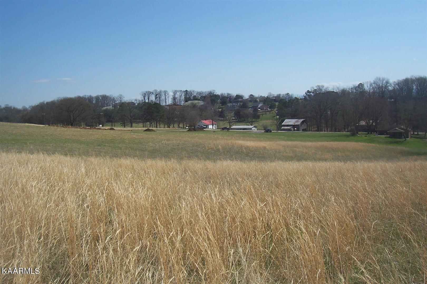 Lot 8 Valley Home Road Dandridge, TN 37725 - Photo 6 of 8 Valley Home Rd Lot 8 (11)