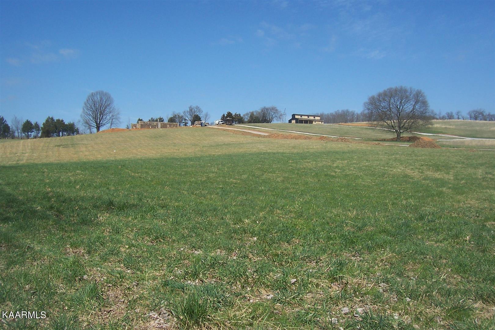 Lot 8 Valley Home Road Dandridge, TN 37725 - Photo 8 of 8 Valley Home Rd Lot 8 (19)