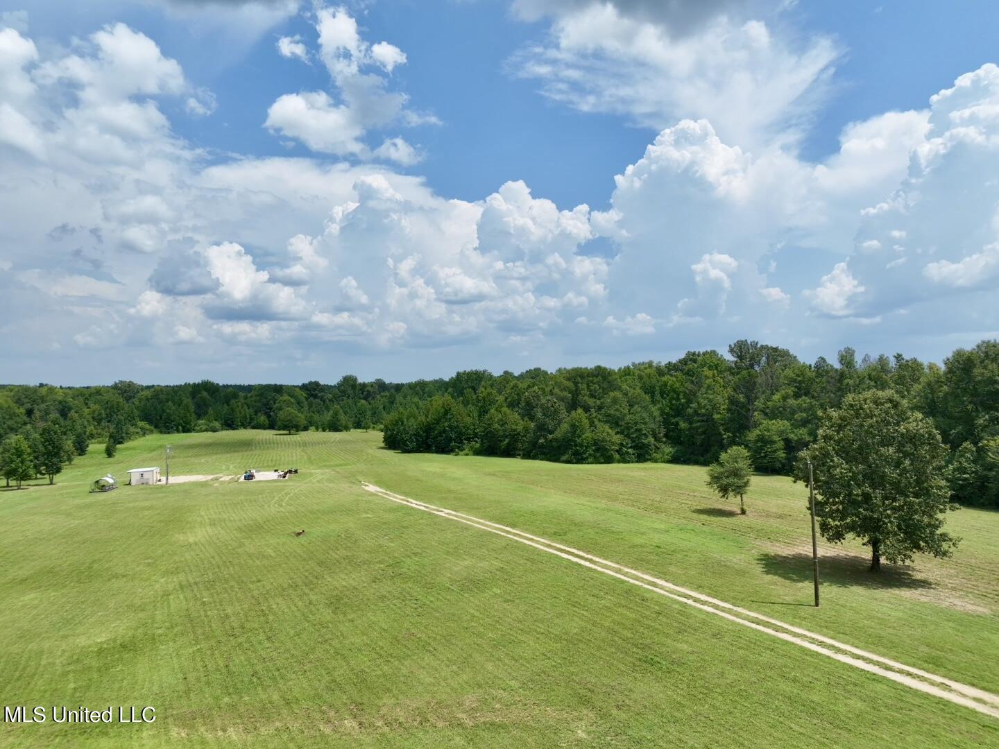 1625 Barnes Road Canton, MS 39046 - Photo 1 of 51 4ADC240C-AE62-44EB-A471-1B2EBF11F8E7