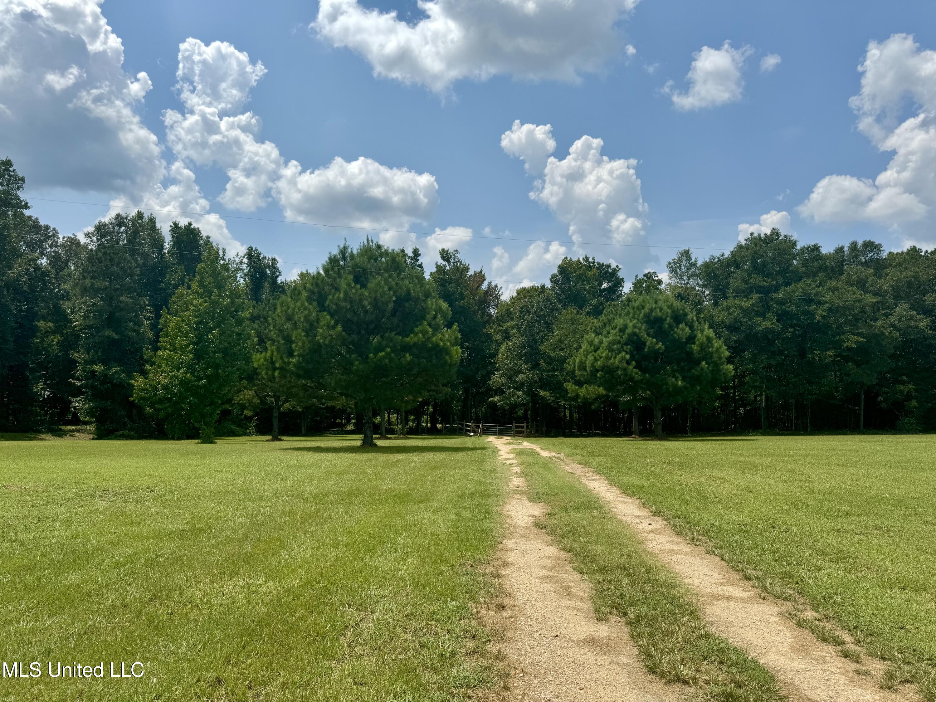 1625 Barnes Road Canton, MS 39046 - Photo 11 of 51 8F08DEC1-42CF-45B5-81A9-A1780F413AD2