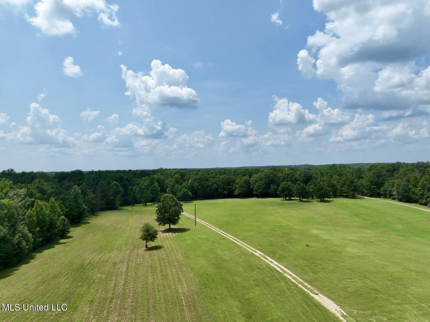 1625 Barnes Road Canton, MS 39046 - Photo 18 of 51 C76A5D38-6057-42F9-913D-D999A0C1205F