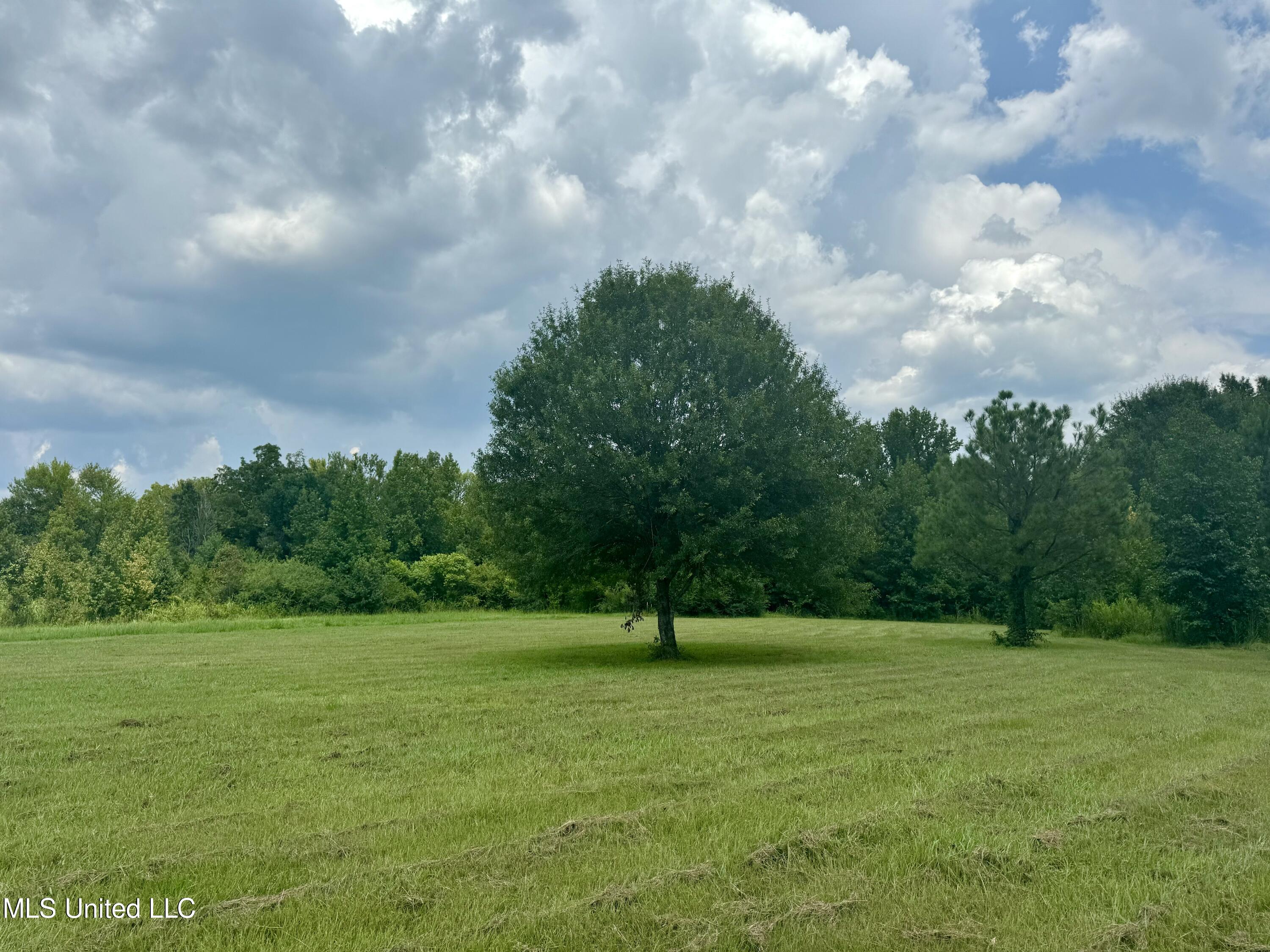 1625 Barnes Road Canton, MS 39046 - Photo 23 of 51 478EC3D4-D41F-4D78-86B4-FABE7F30FCD0