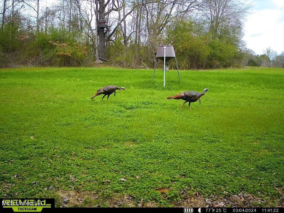 1625 Barnes Road Canton, MS 39046 - Photo 25 of 51 23B6C174-0FB7-40A3-8494-078D712F6AF3
