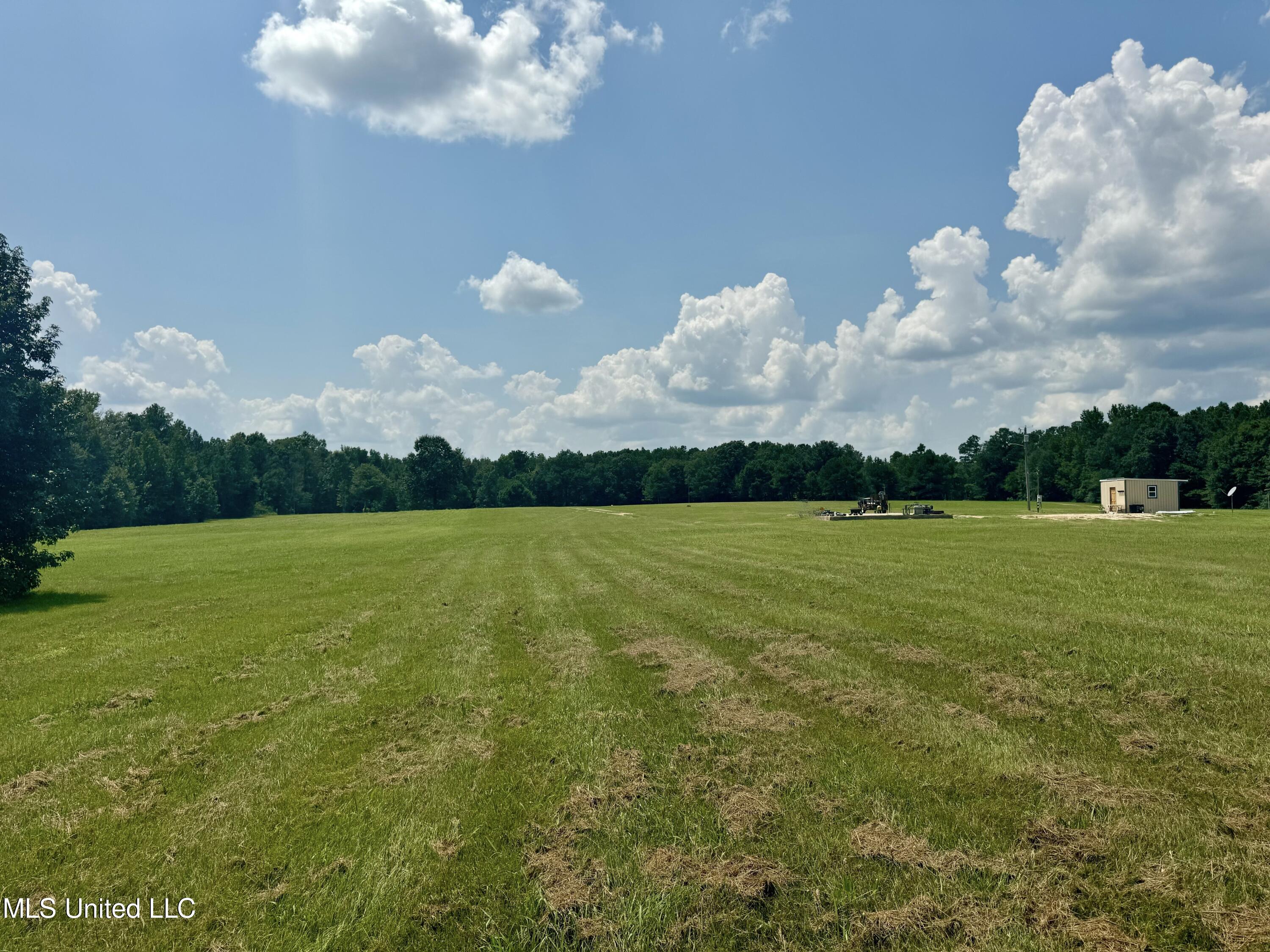 1625 Barnes Road Canton, MS 39046 - Photo 28 of 51 36F56BCA-0D65-4E1C-B18C-0F874ADDC510