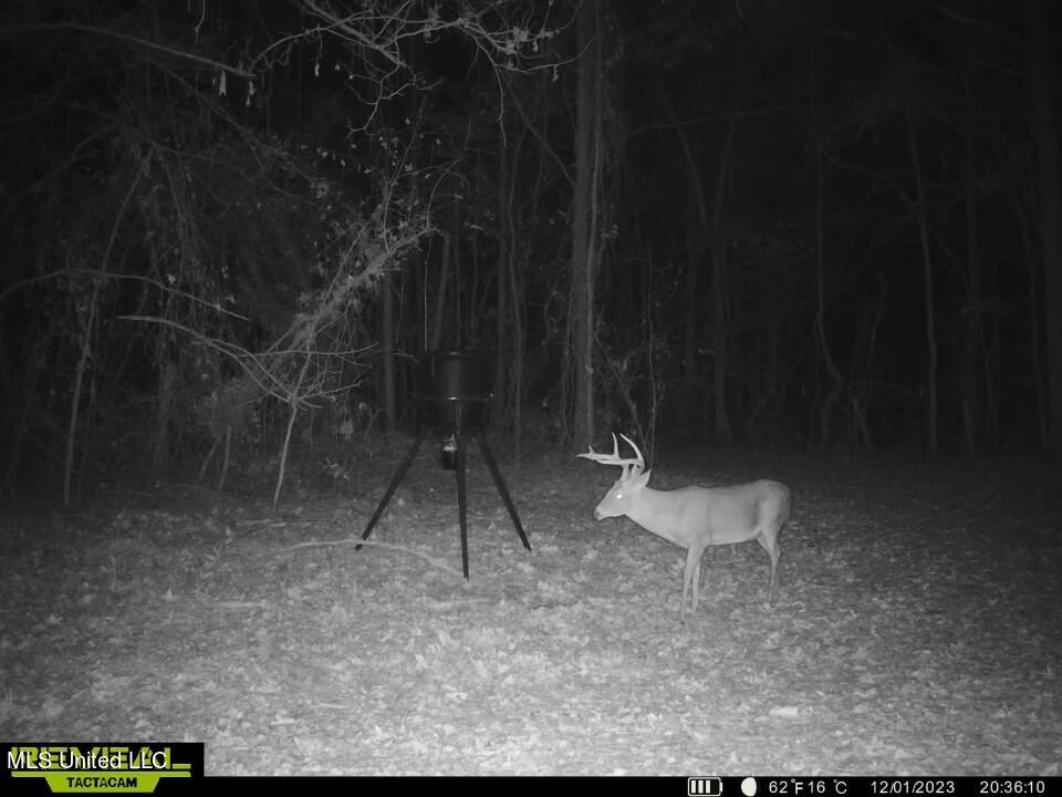 1625 Barnes Road Canton, MS 39046 - Photo 30 of 51 4203591E-2E6F-47C9-9A22-2A2B1CA6C2C9