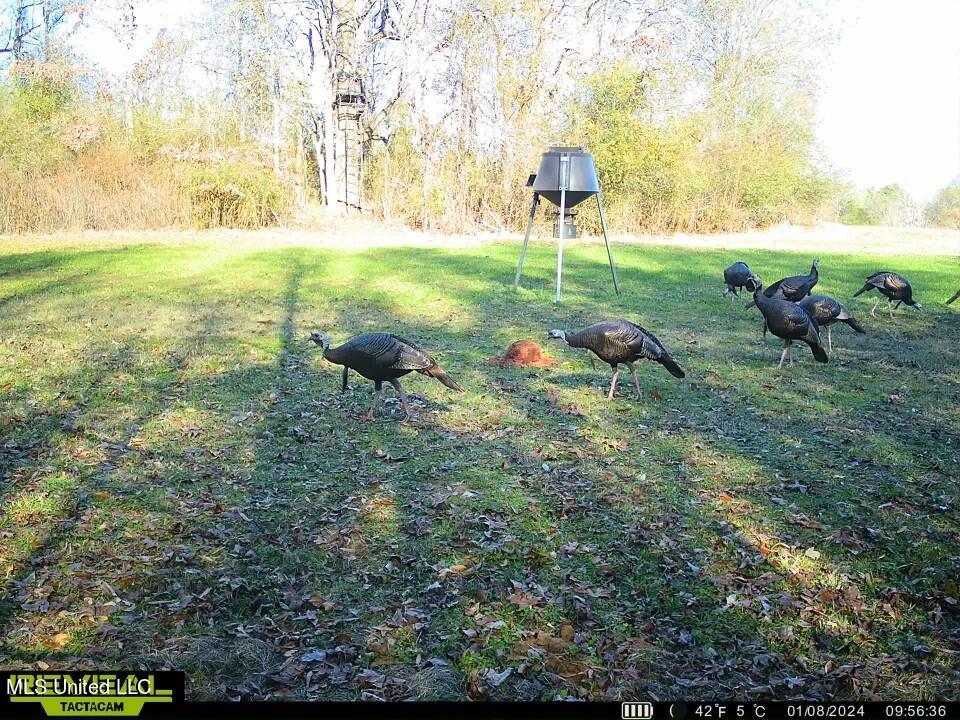 1625 Barnes Road Canton, MS 39046 - Photo 3 of 51 CAD18AC2-57CF-46F0-881F-8F73CEE62870