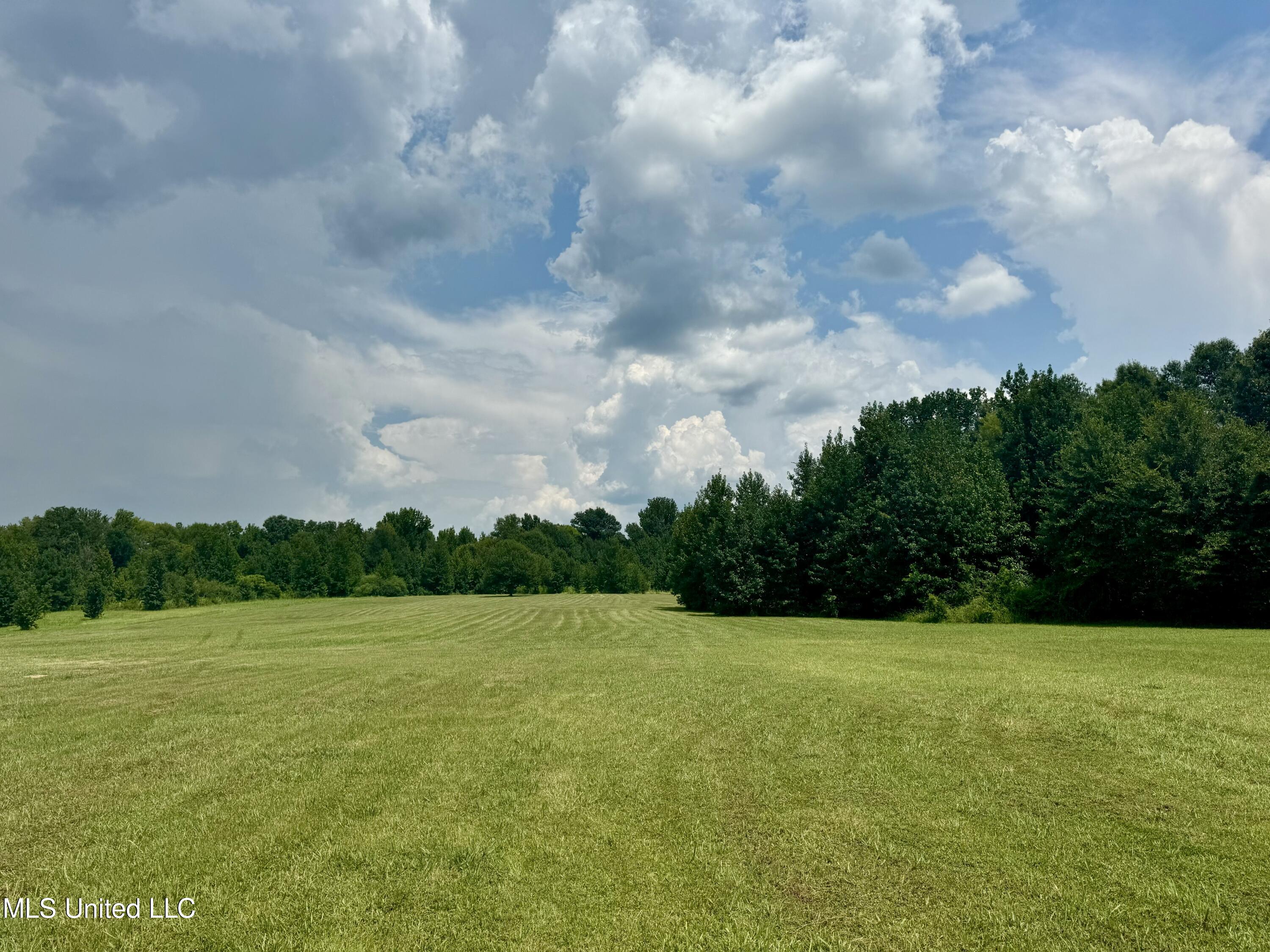 1625 Barnes Road Canton, MS 39046 - Photo 34 of 51 0A2AD535-71C4-45E8-B83C-8CE1E0FA9568