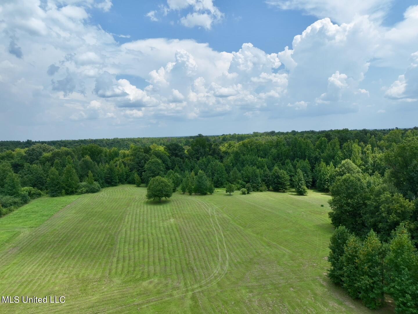 1625 Barnes Road Canton, MS 39046 - Photo 35 of 51 A55320F6-0426-4259-9282-AC4A6C358E3D