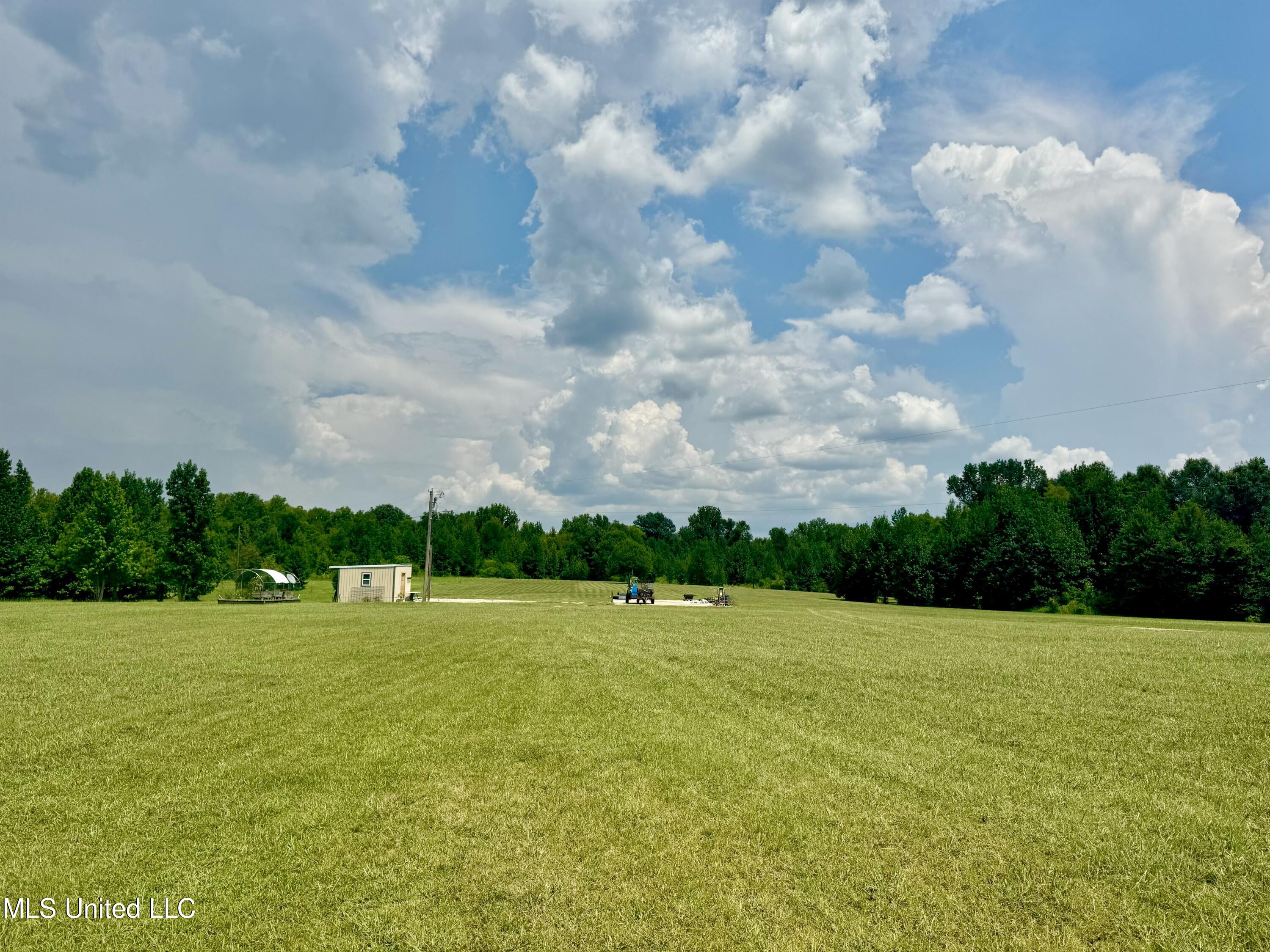 1625 Barnes Road Canton, MS 39046 - Photo 38 of 51 EF710B4E-4196-434B-9E0E-722E476AFD9B