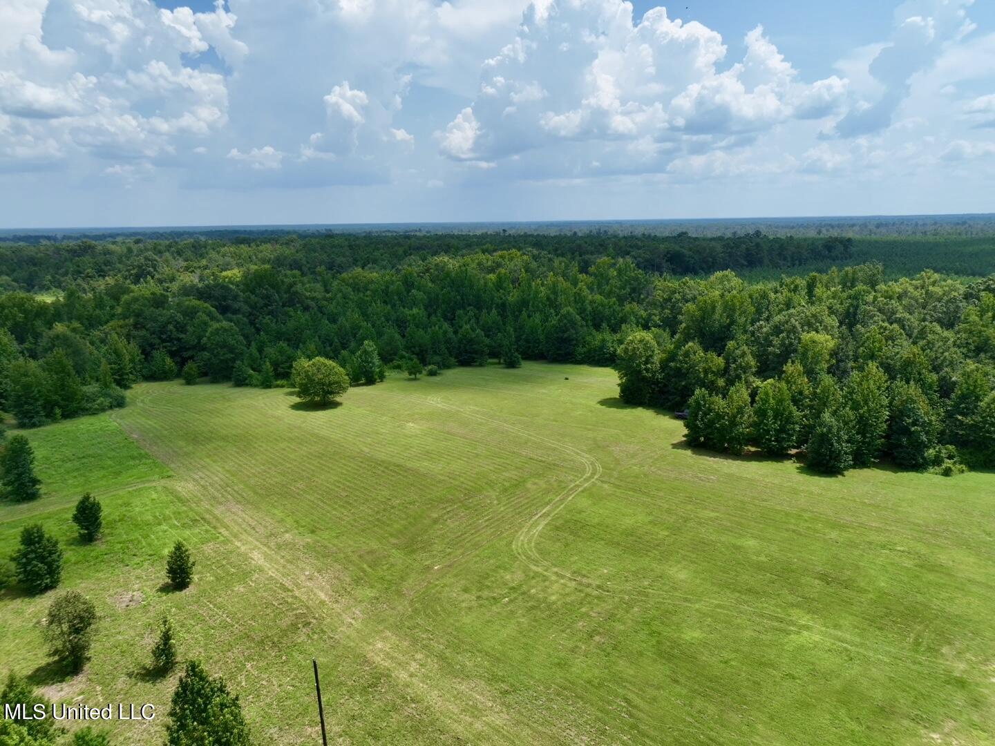 1625 Barnes Road Canton, MS 39046 - Photo 39 of 51 04A4F96E-CA0B-4795-A209-CB9F48021979