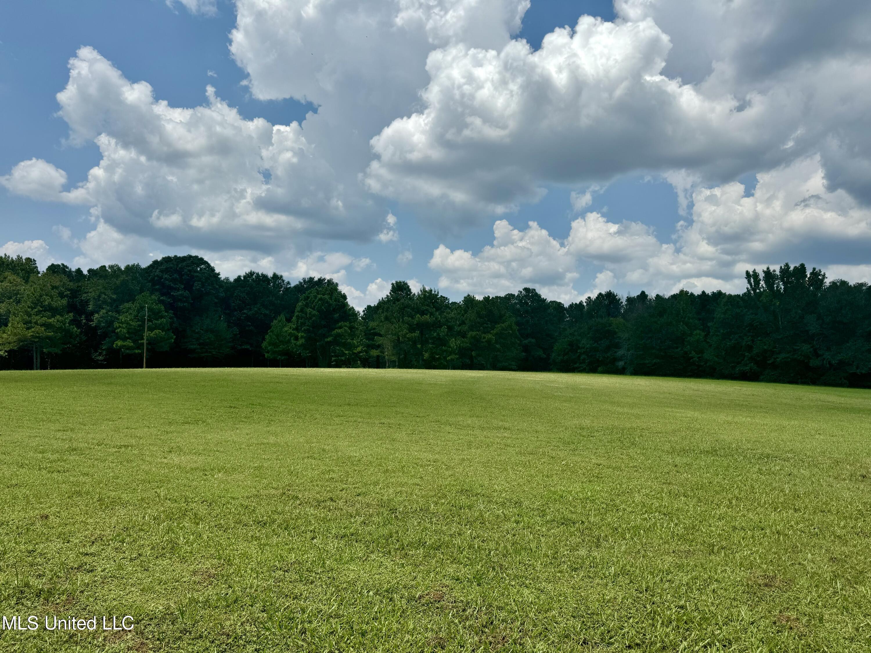 1625 Barnes Road Canton, MS 39046 - Photo 40 of 51 FB66B264-3ABA-417D-9084-68EE51DABCB5