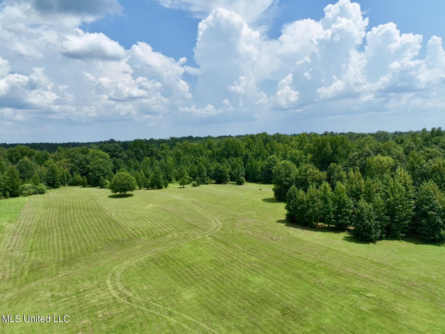 1625 Barnes Road Canton, MS 39046 - Photo 4 of 51 B6D59D23-D02C-40AE-BF6A-9431171AAFD7