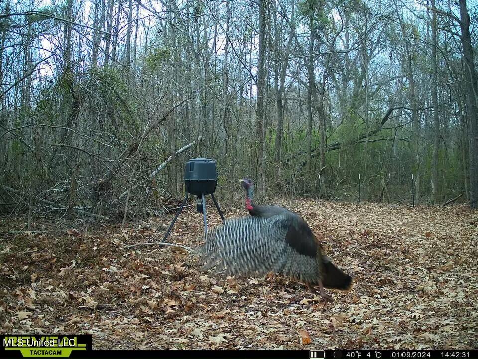 1625 Barnes Road Canton, MS 39046 - Photo 43 of 51 C7CEEC55-1B92-4724-B653-893B7E0B7A4B