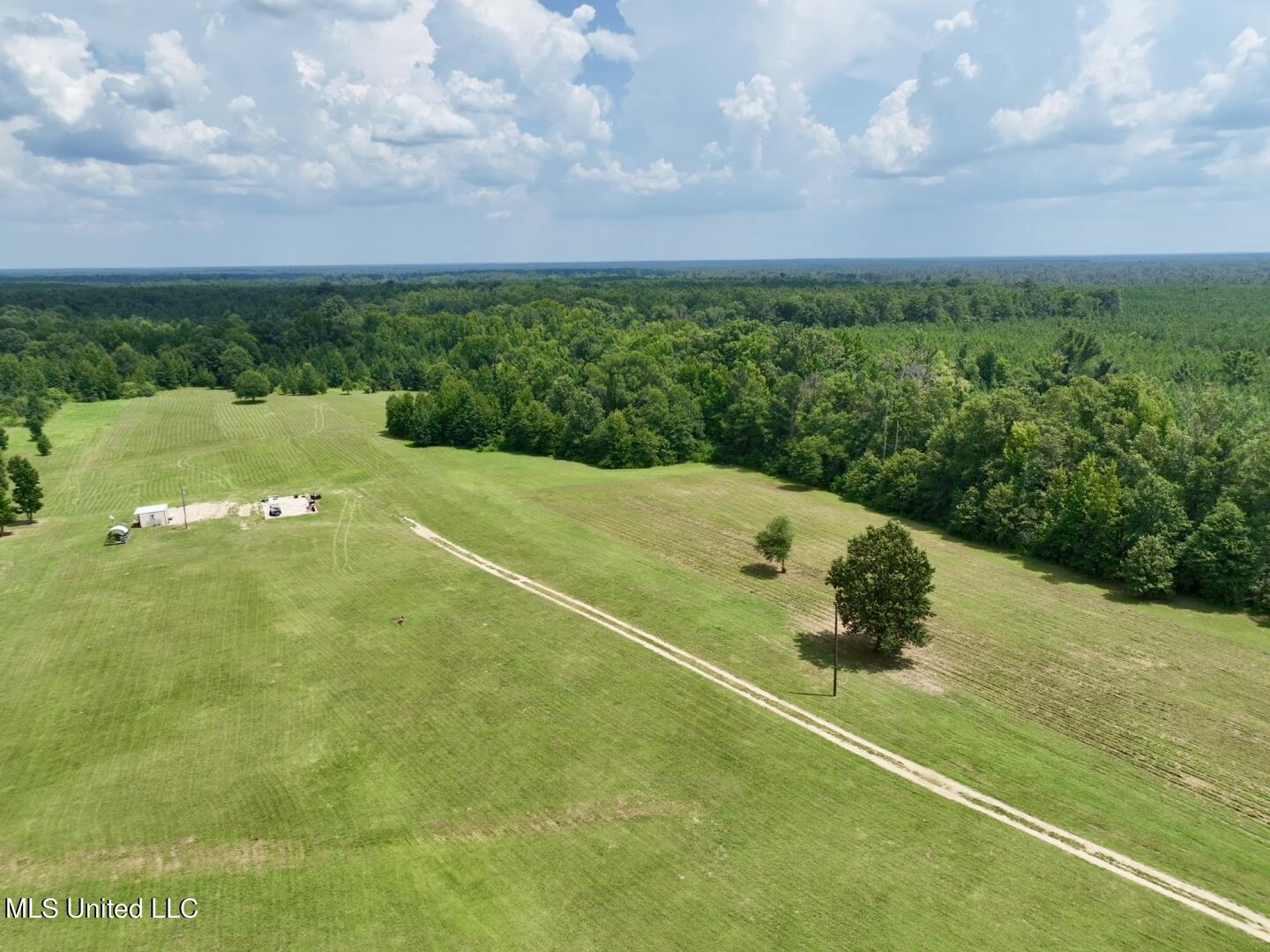 1625 Barnes Road Canton, MS 39046 - Photo 44 of 51 A48435E7-76F1-466C-B27B-BCB522762077