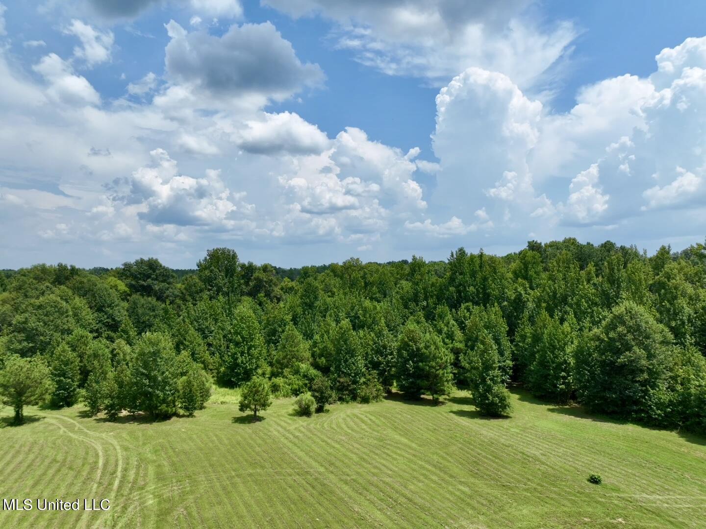 1625 Barnes Road Canton, MS 39046 - Photo 46 of 51 D3D5C198-EE68-447E-8230-0517177504C6