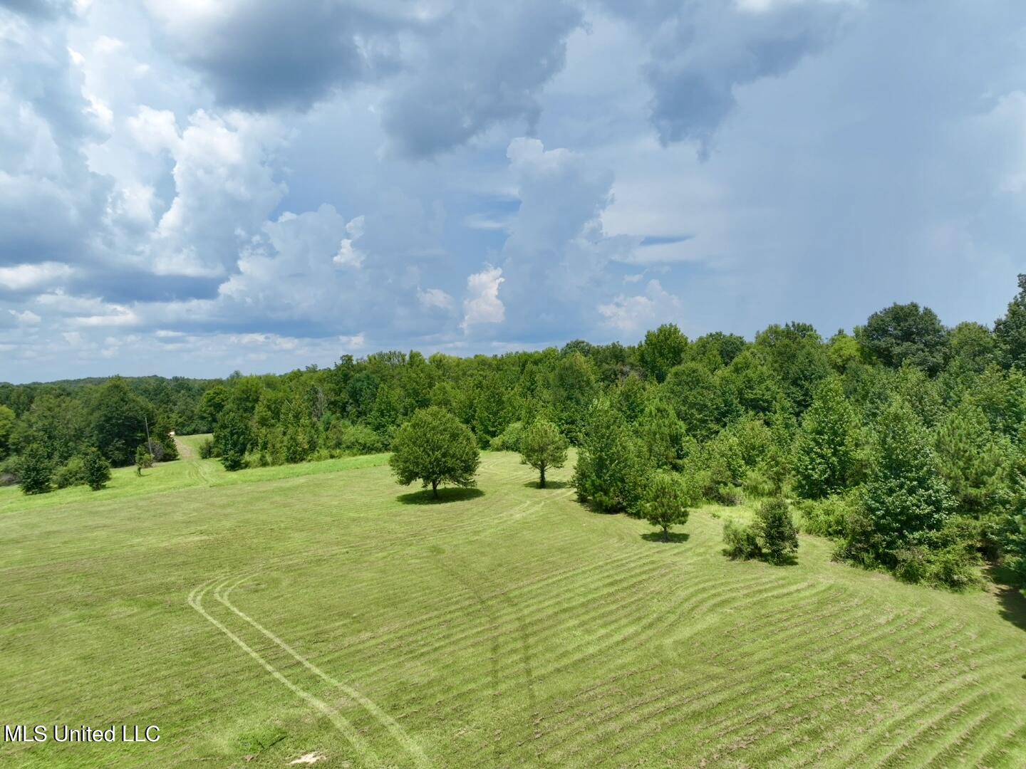 1625 Barnes Road Canton, MS 39046 - Photo 50 of 51 DE0EEF5F-DCD0-465A-962D-58C80C303AF5