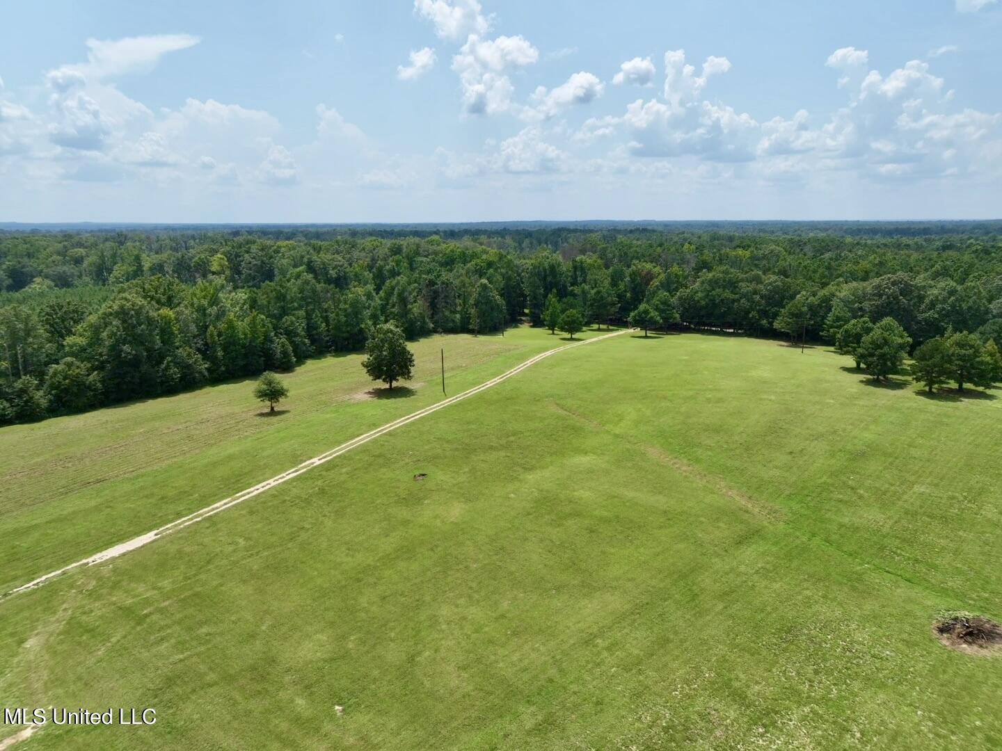 1625 Barnes Road Canton, MS 39046 - Photo 5 of 51 3C71A37B-CE2A-40AC-A5D4-28BFBA293D7E