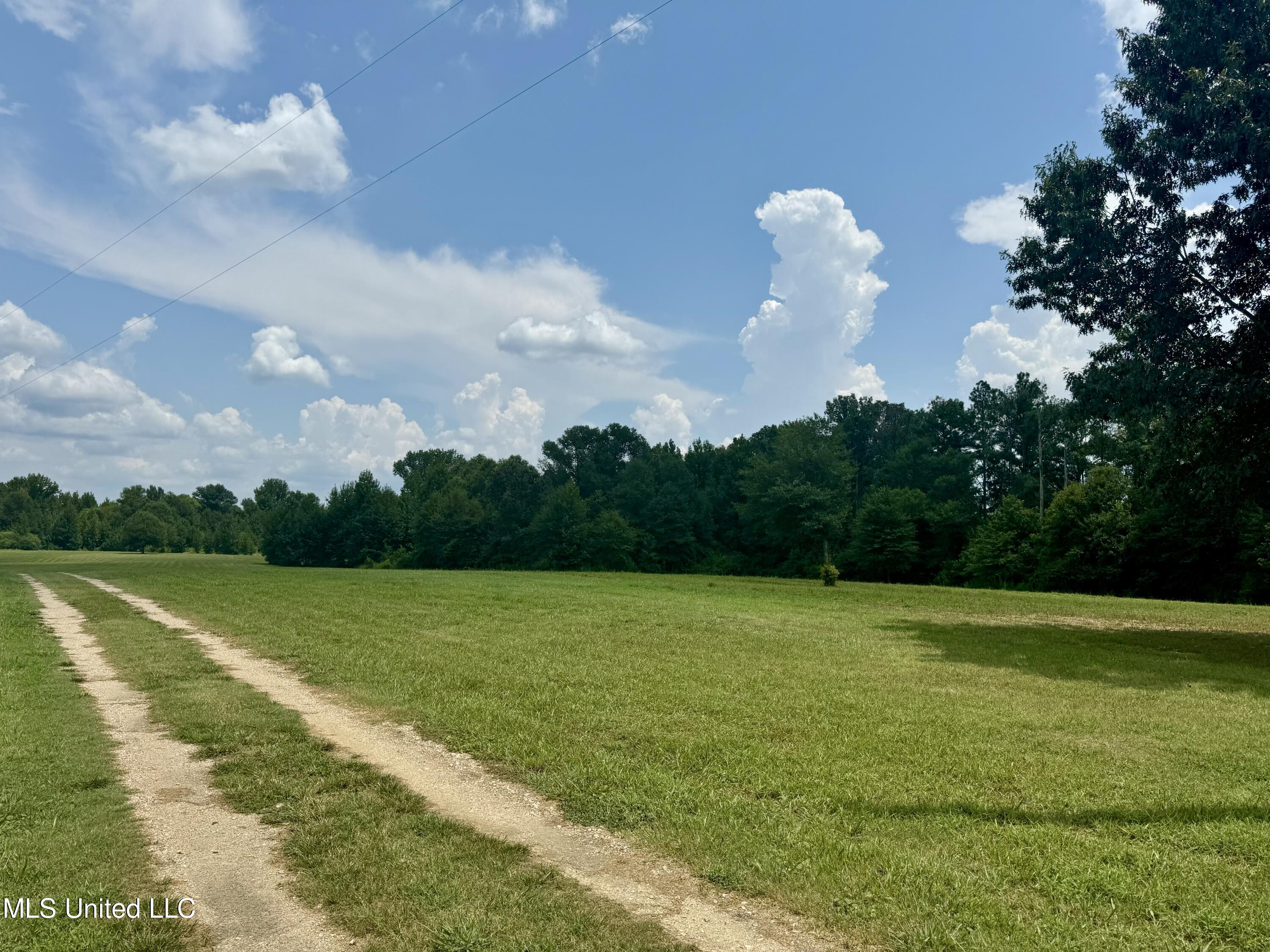 1625 Barnes Road Canton, MS 39046 - Photo 6 of 51 CF598067-EFFA-4D01-A7C7-AA3E055A3CD0