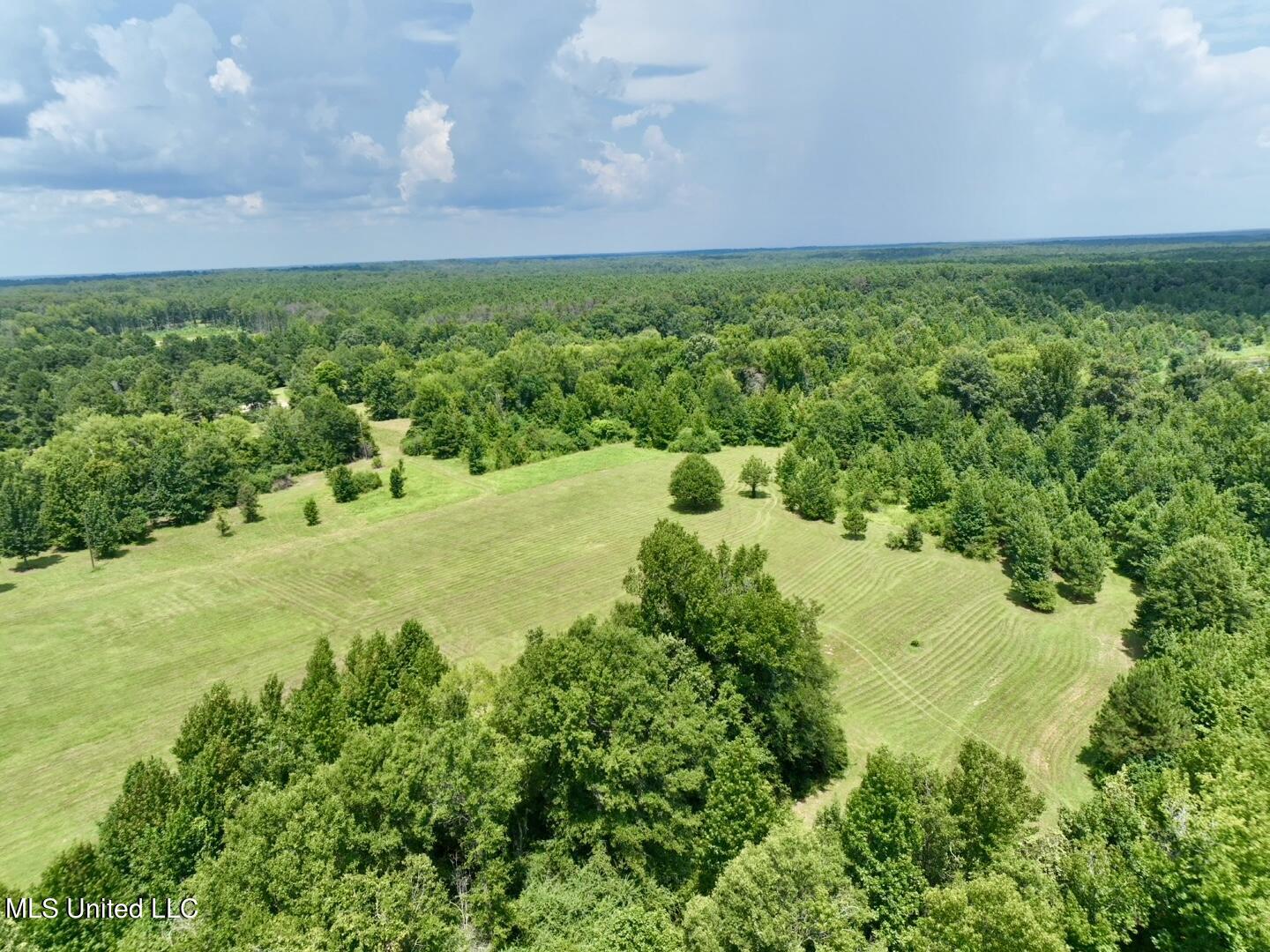 1625 Barnes Road Canton, MS 39046 - Photo 7 of 51 D525762A-DA07-4DCB-9DD5-FC9354FCABFF