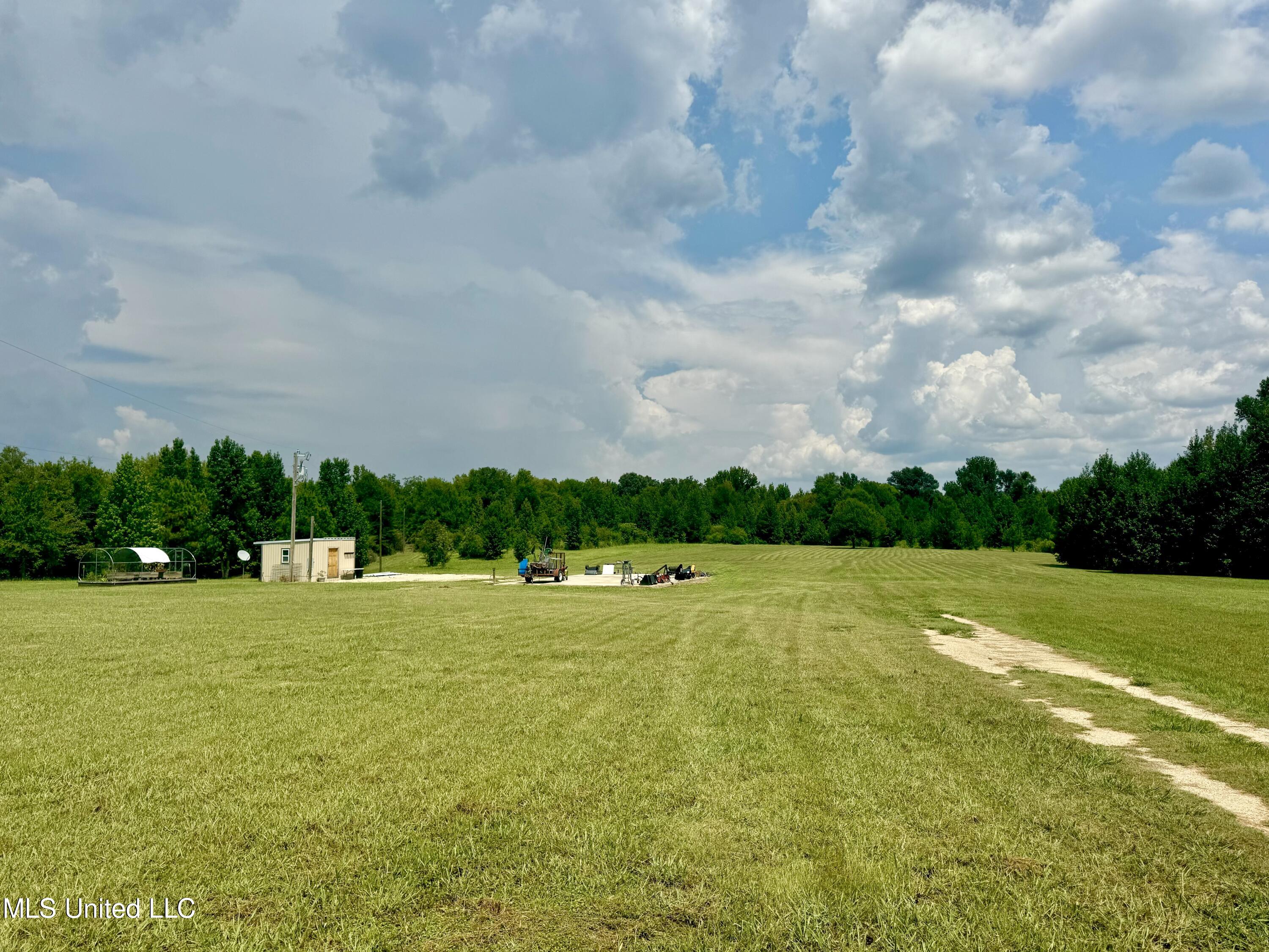 1625 Barnes Road Canton, MS 39046 - Photo 8 of 51 E7936D37-A75B-4ED2-92D8-A11565F5BD5C