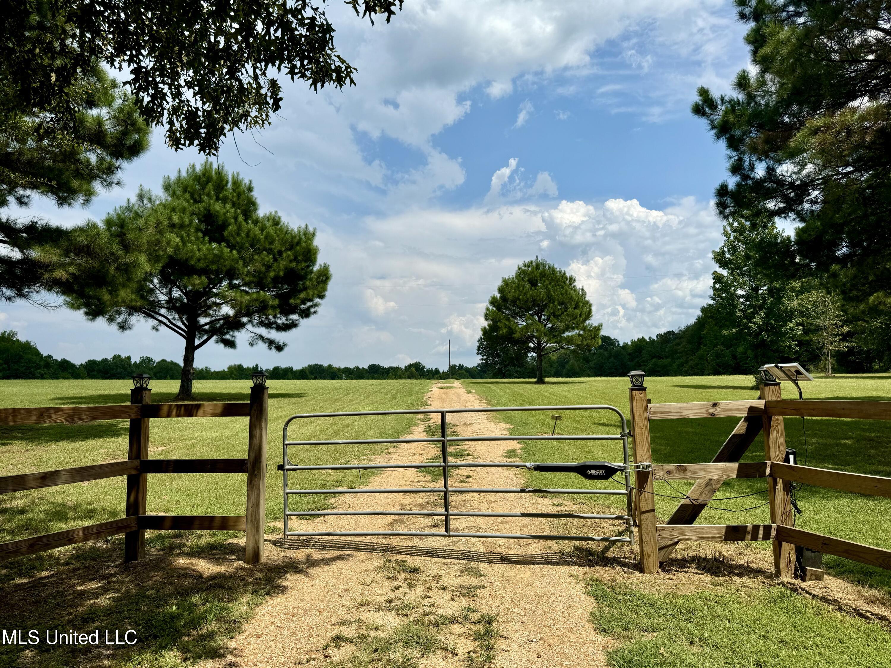 1625 Barnes Road Canton, MS 39046 - Photo 9 of 51 07AAA0BE-82BF-47BB-A546-0096750559AE