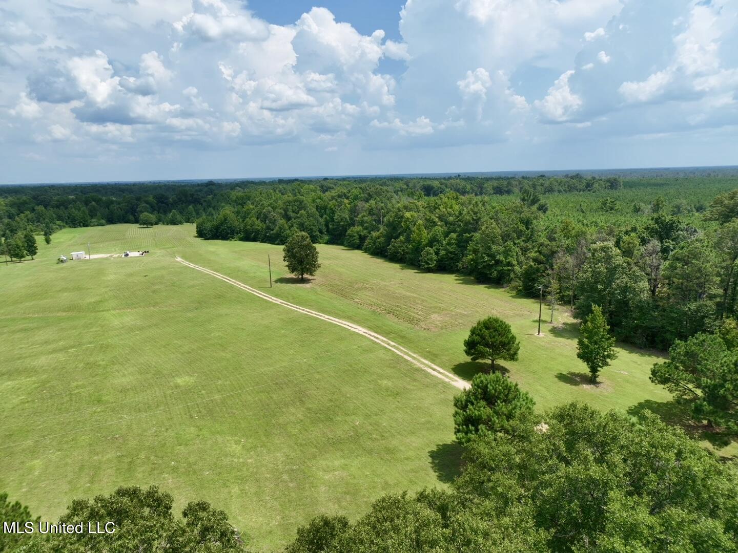 1625 Barnes Road Canton, MS 39046 - Photo 10 of 51 31AD727D-76D9-4A73-B504-5A57BFA2AA76