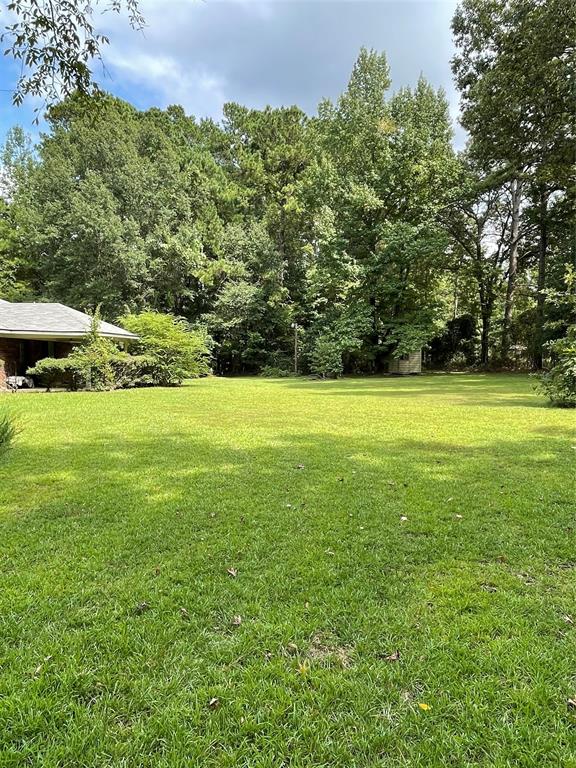 122 Post Oak Drive Mansfield, LA 71052 - Photo 4 of 23 View of green lawn