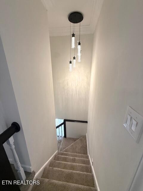 103 Amanda Place Oak Ridge, TN 37830 - Photo 17 of 33