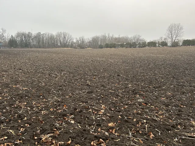 a view of an outdoor space and a yard