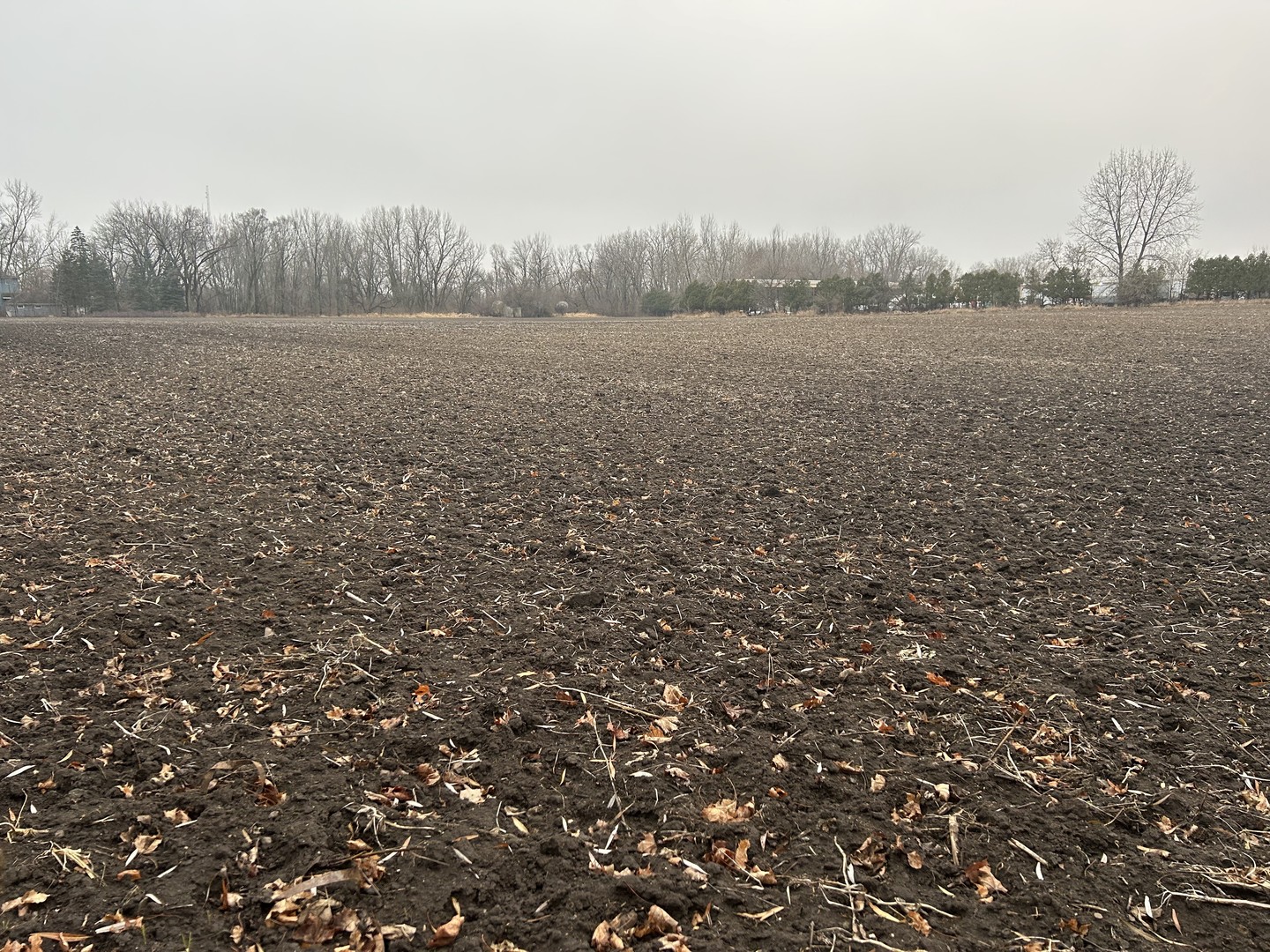 a view of an outdoor space and a yard