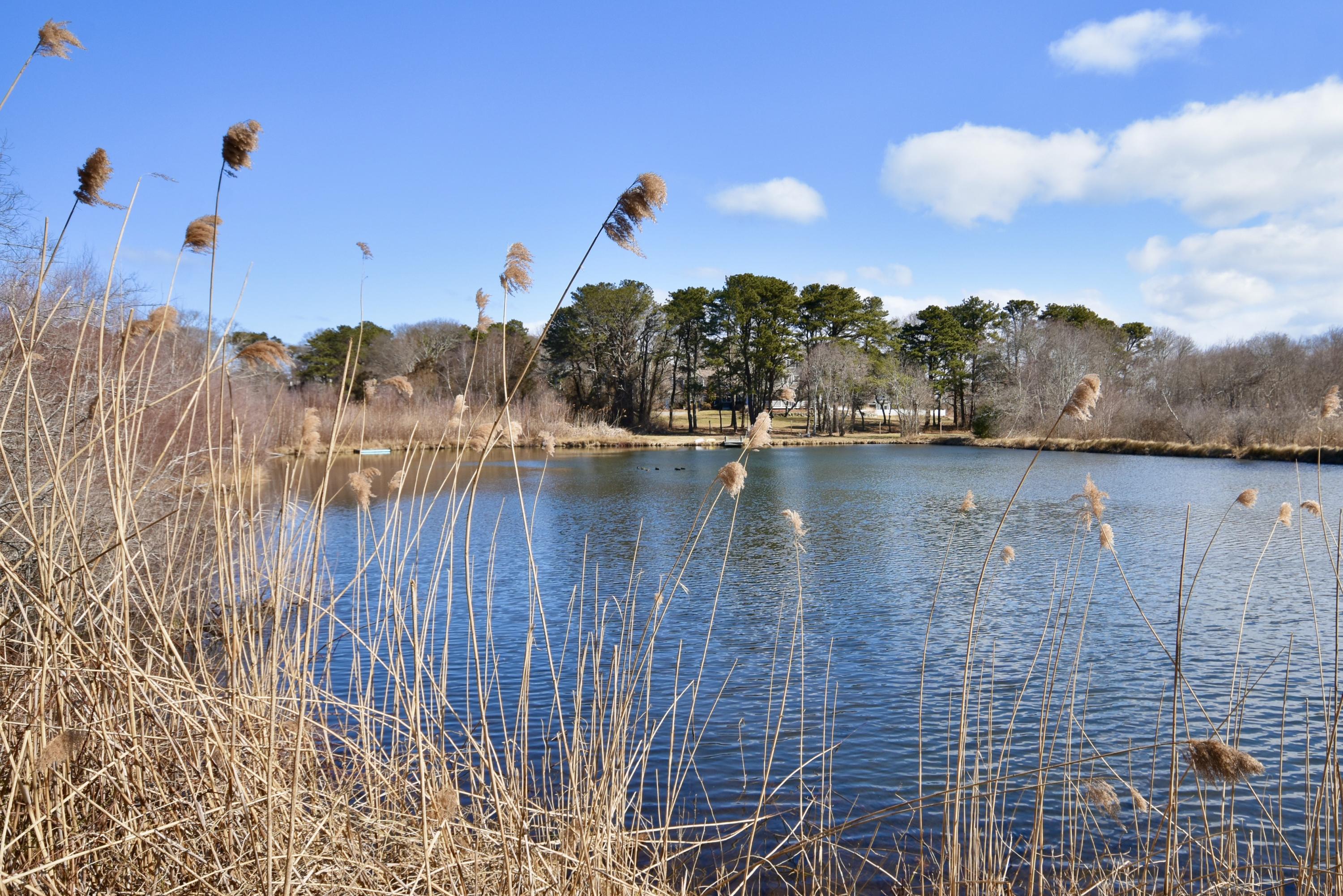 14 Hunters Ridge Road Sagamore Beach, MA 02562 - Photo 33 of 35 23FFDBE1-450D-4BD6-BE18-F424B2CB49C5_1_2