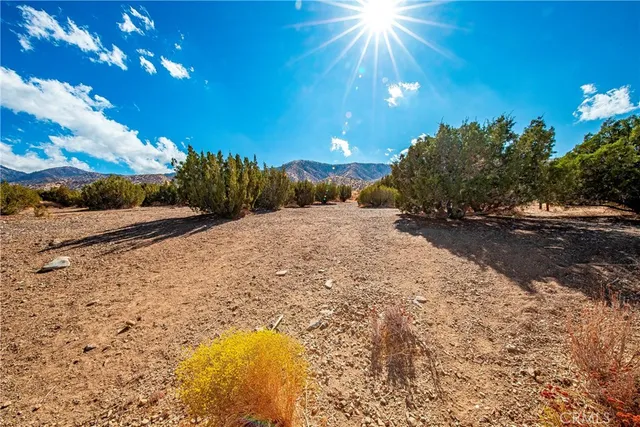a view of a sky from a yard