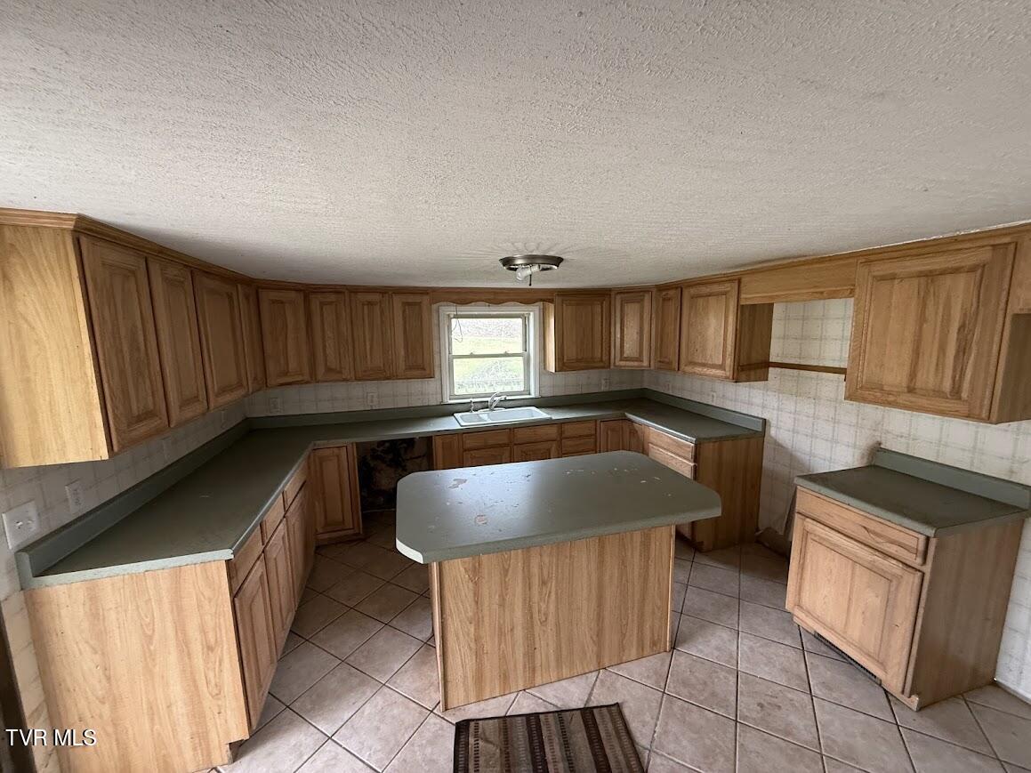 1427 Reed Hollow Road Gate City, VA 24251 - Photo 6 of 16 IMG_4079