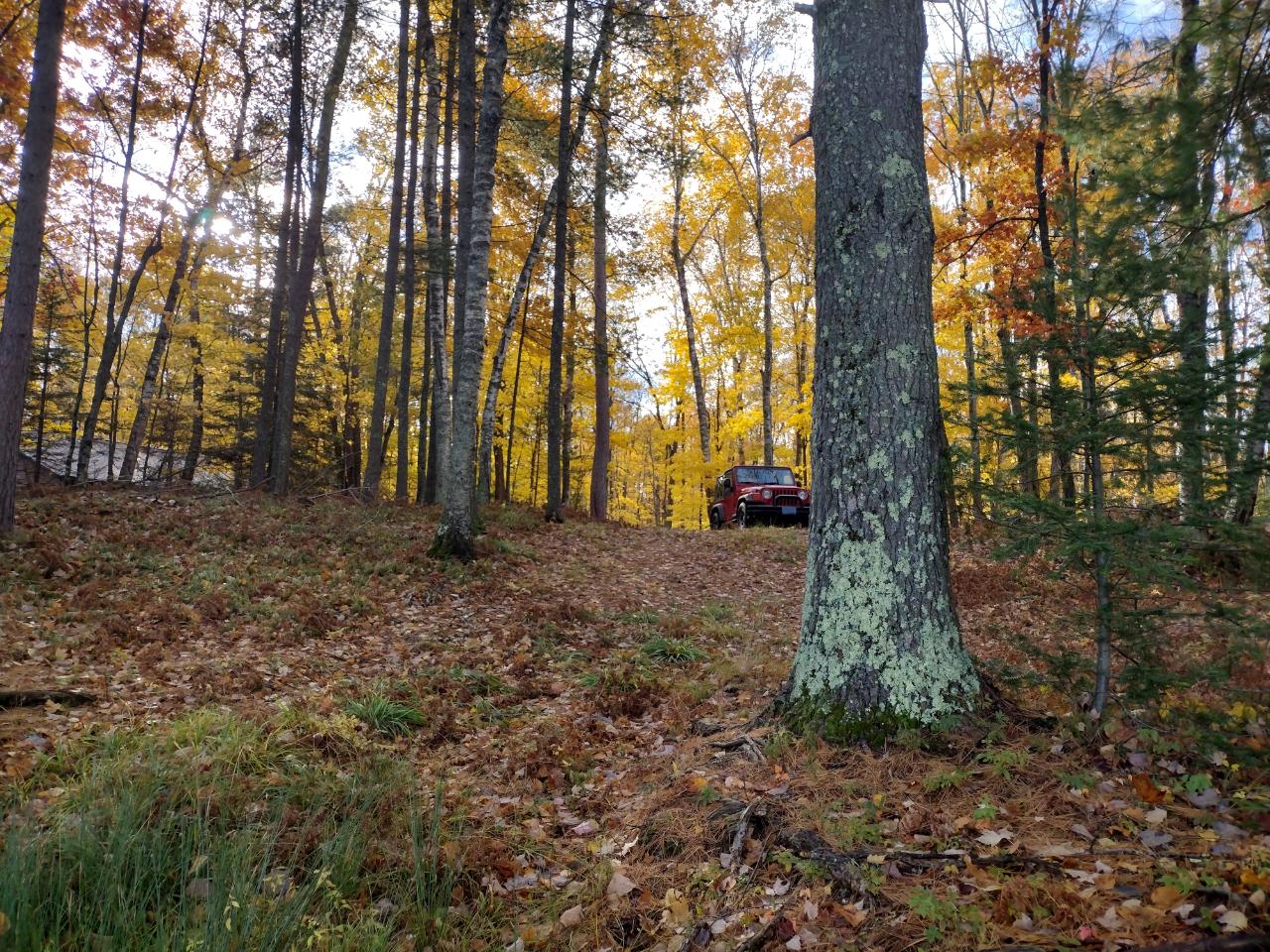 Off Harmony Lake Road Eagle River, WI 54521 - Photo 10 of 19 Gallery Image 10