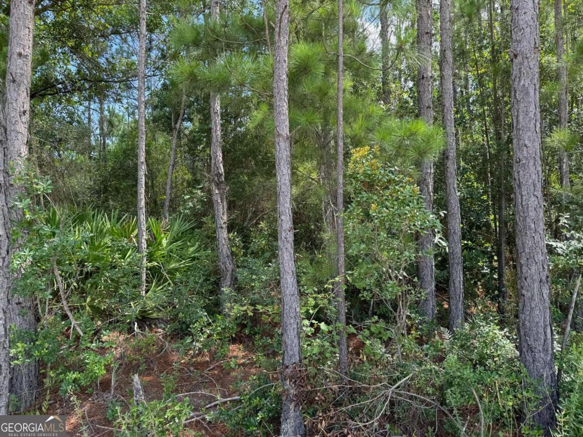 a view of a forest with trees and houses
